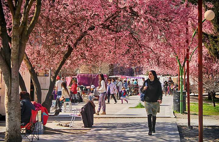 Feria de El Bolsón en primavera