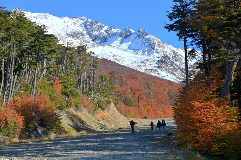 Senderos en Tierra del Fuego: glaciar Martial