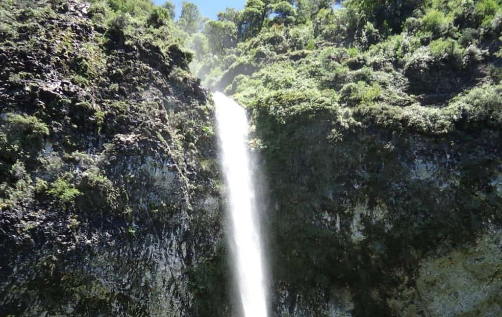 Senderos cortos en Bariloche: Saltillo Las Nalcas