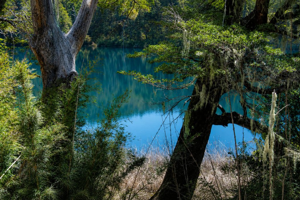 Lagunas-Corinas-Trekking-en-San-Martin-de-los-Andes