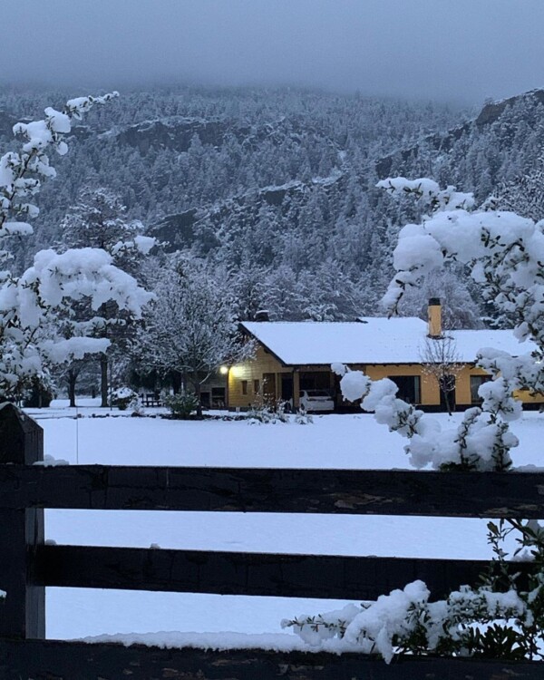 ❄️ Postal de un invierno en El Bolsón, Río Negro 📍
.
Ph 📷 emi_righetti 📌
.
ElBolsón PatagoniaAndina surargentino ElBolson PatagoniaArgentina elbolsonpatagoniaargentina patagoniargentina elbolsonrionegro